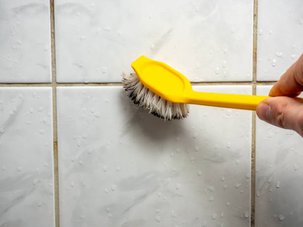 Best Commercial Mold Removal  in Hidden Hills, CA