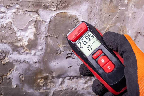 Best Commercial Mold Removal  in Hidden Hills, CA